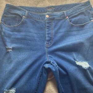 Maurices 24W Blue Jeans